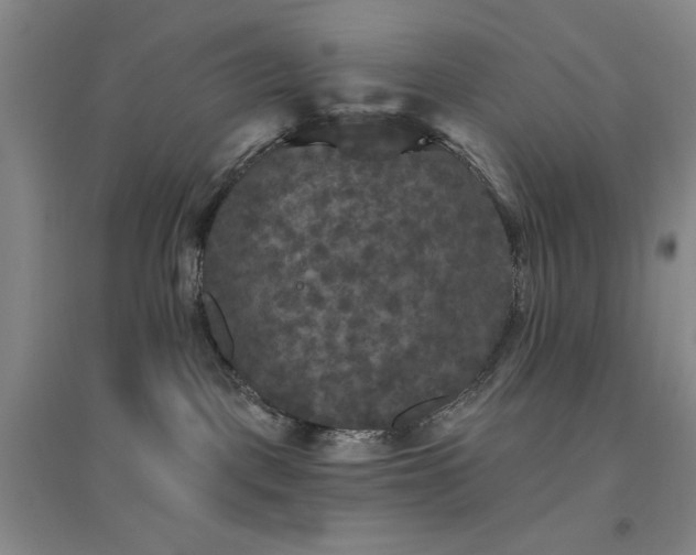 X0000094790093200711161444