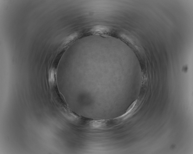 X0000094790094200711161444