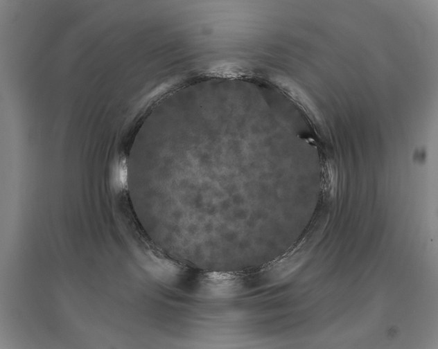 X0000094790095200711161444