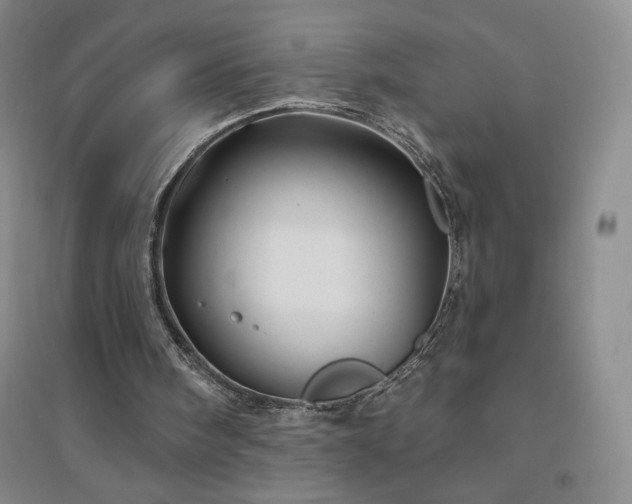 X0000094790098200711161443