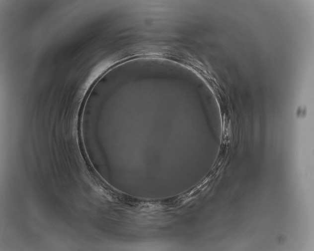 X0000094790099200711161443