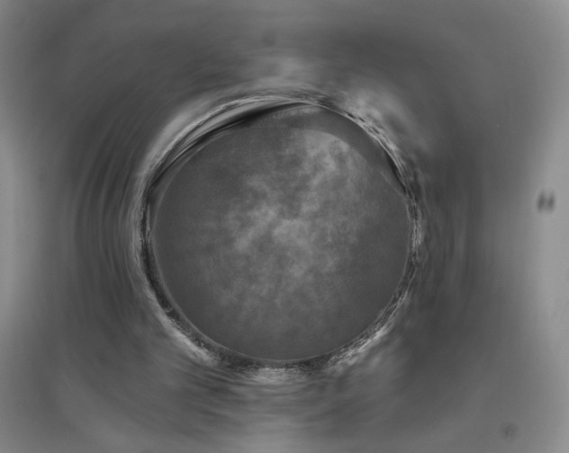 X0000094790101200711161443