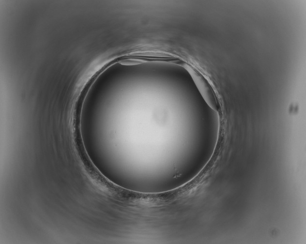 X0000094790103200711161443