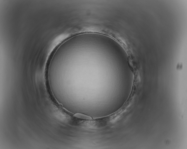 X0000094790104200711161443