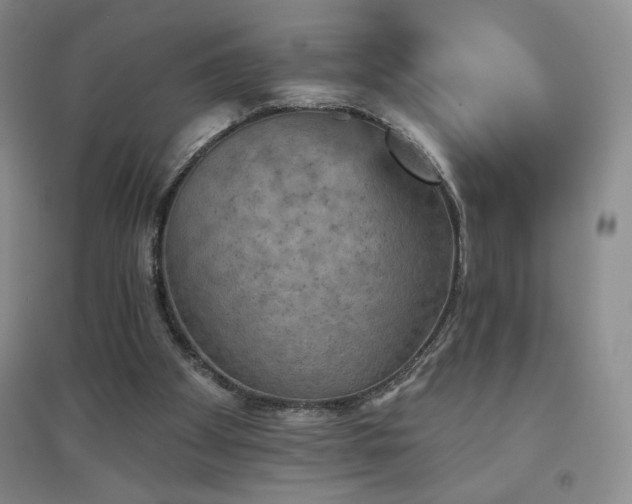 X0000094790105200711161443