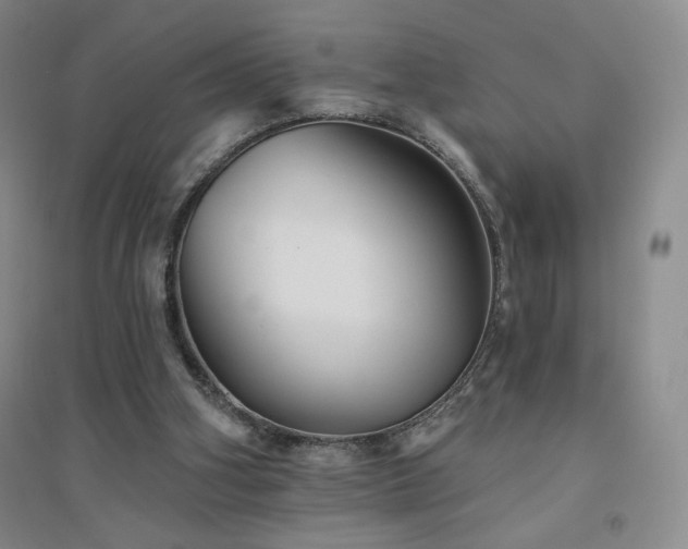 X0000094790106200711161443