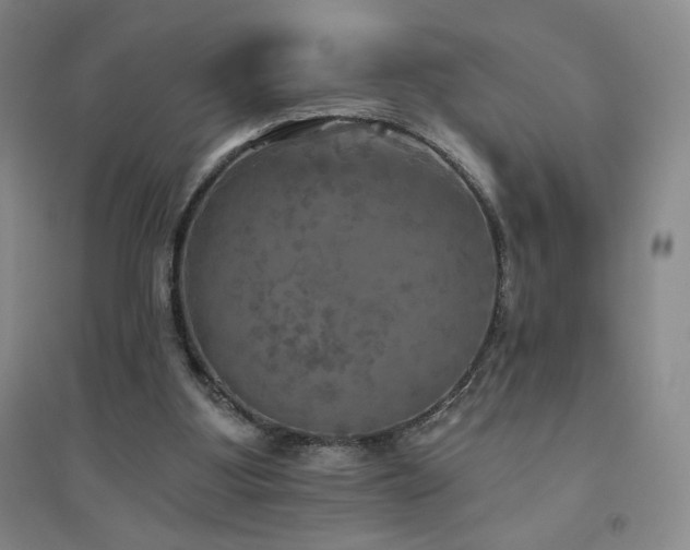 X0000094790107200711161443