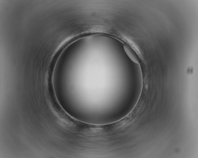 X0000094790108200711161443