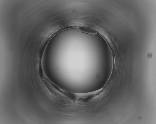 X0000094790109200711161443