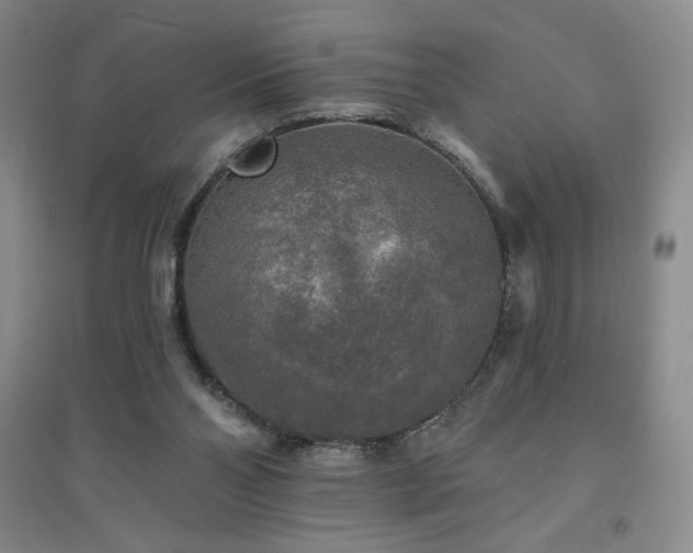 X0000094790110200711161443