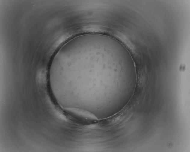 X0000094790111200711161443