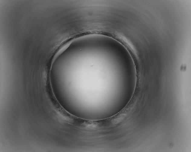 X0000094790113200711161443