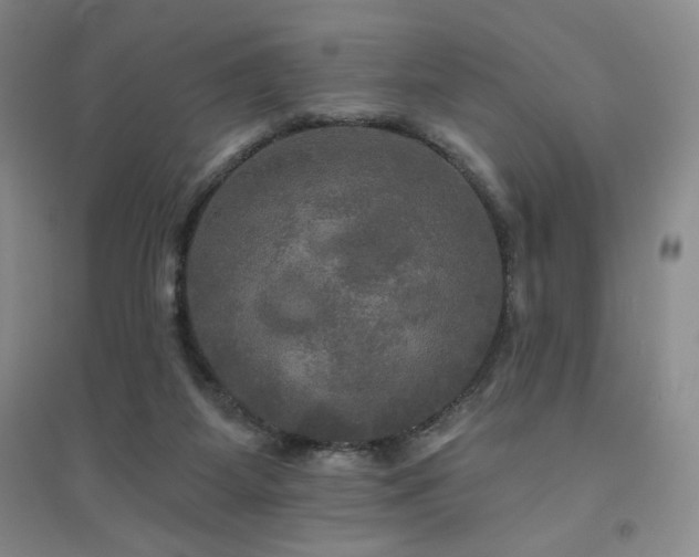 X0000094790115200711161443