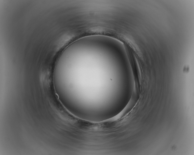 X0000094790116200711161443