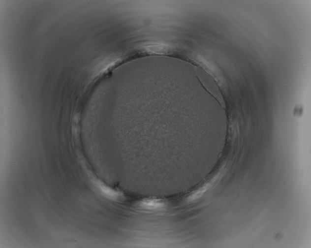 X0000094790117200711161443