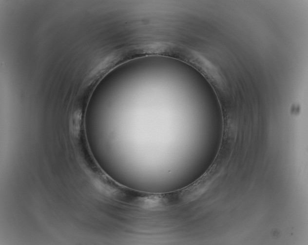 X0000094790118200711161443