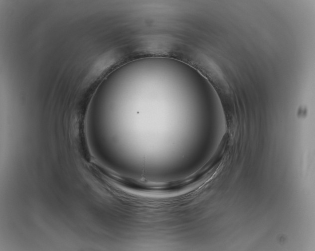 X0000094790120200711161443