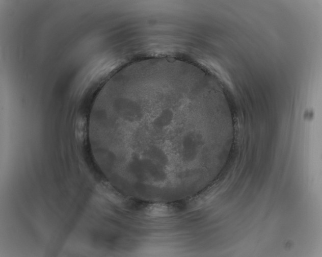 X0000094790123200711161443