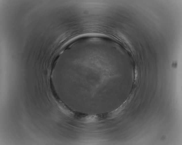 X0000094790124200711161443