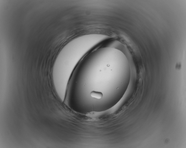 X0000094790125200711161443