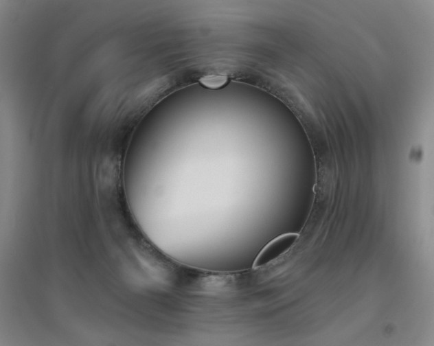 X0000094790126200711161443