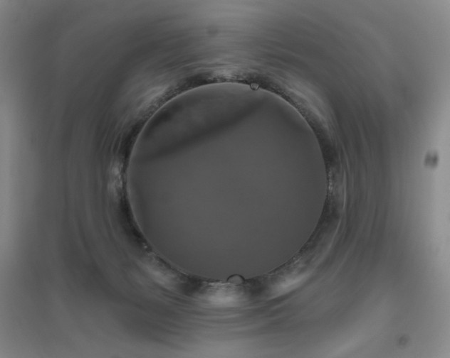 X0000094790127200711161443