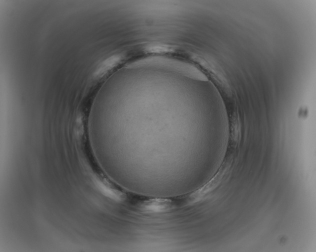 X0000094790128200711161443