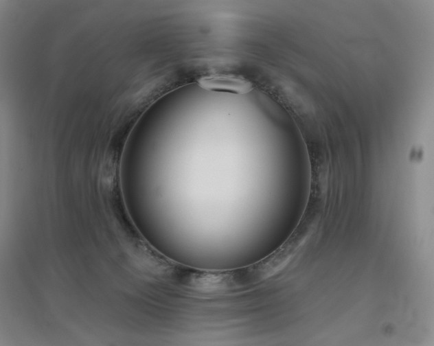 X0000094790129200711161443