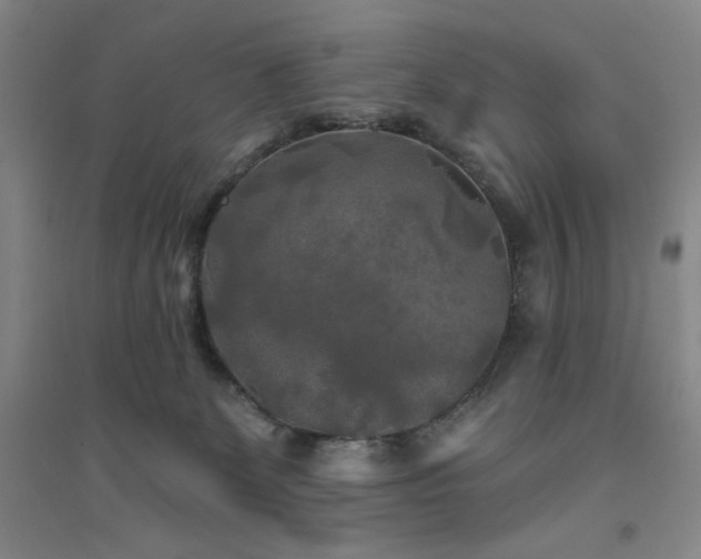 X0000094790131200711161443