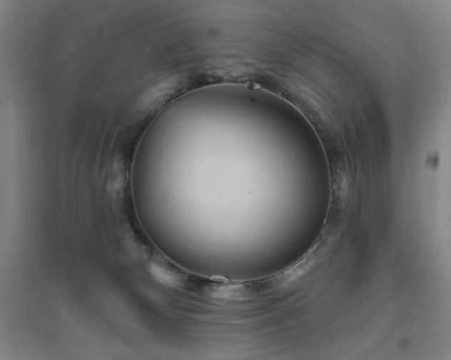 X0000094790132200711161443