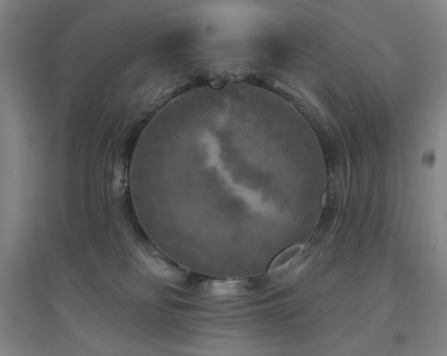 X0000094790134200711161443