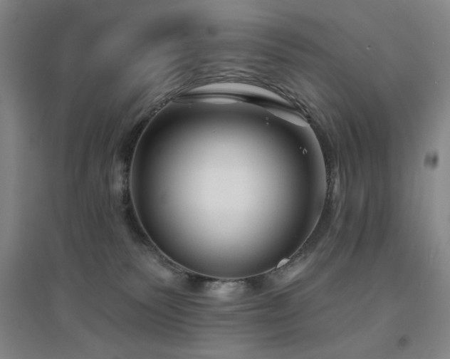 X0000094790135200711161443