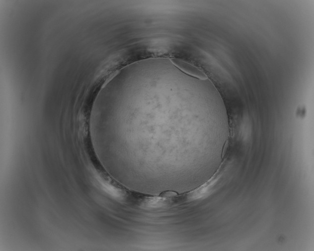 X0000094790136200711161443