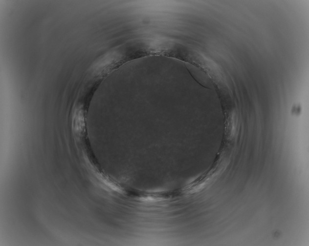 X0000094790137200711161443