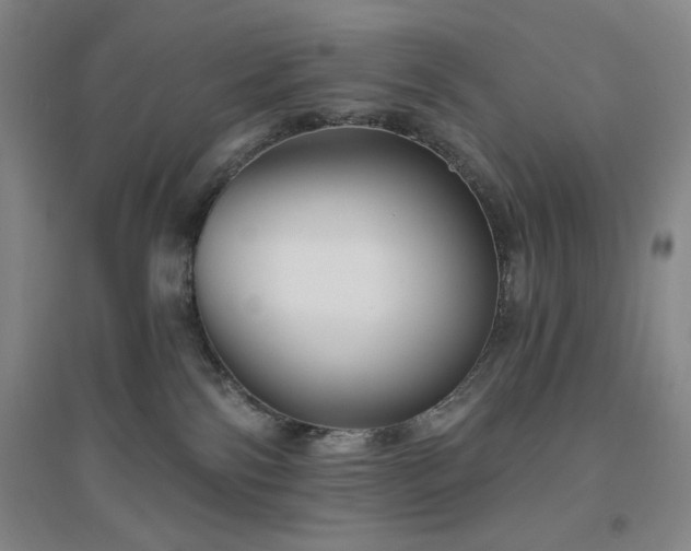 X0000094790138200711161443