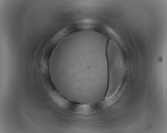 X0000094790140200711161443