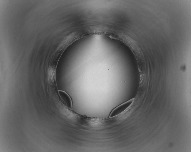 X0000094790142200711161443