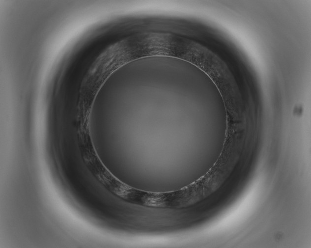 X0000094790143200711161443