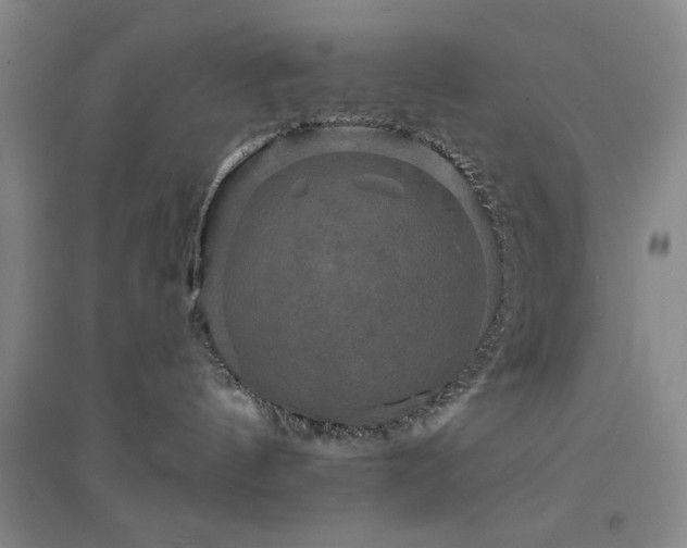 X0000094790144200711161443