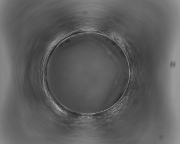 X0000094790145200711161442