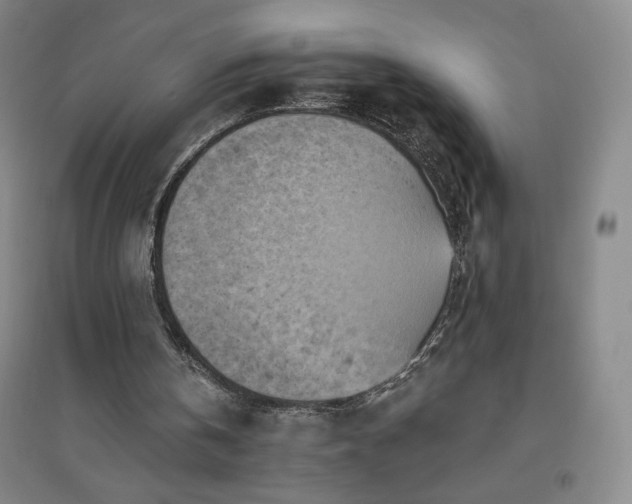 X0000094790146200711161442