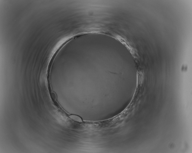 X0000094790147200711161442