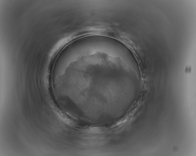 X0000094790149200711161442