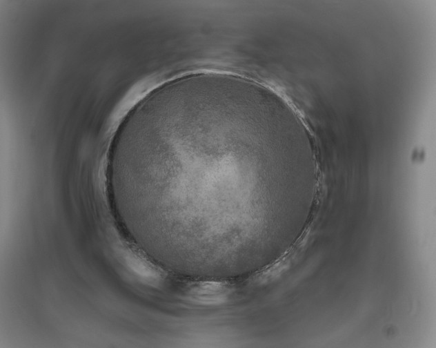 X0000094790151200711161442