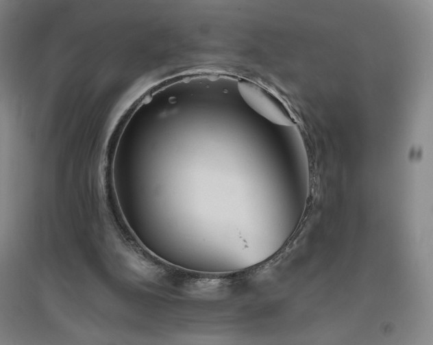 X0000094790152200711161442