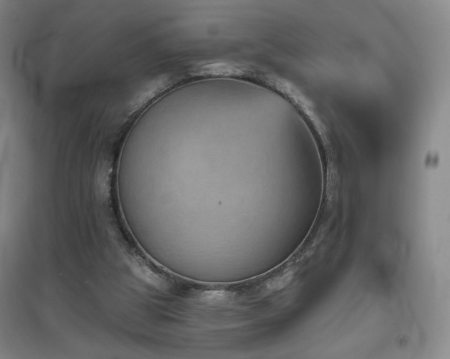 X0000094790153200711161442