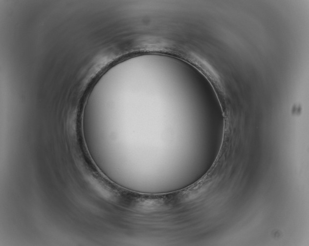 X0000094790155200711161442