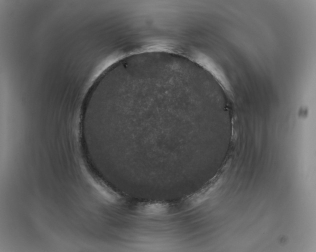 X0000094790156200711161442