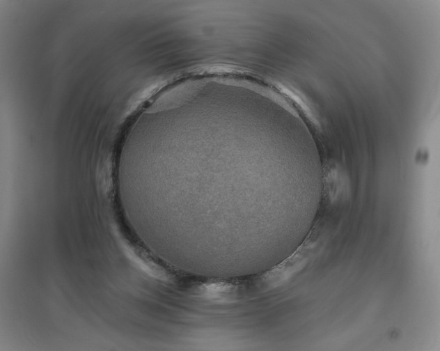 X0000094790158200711161442