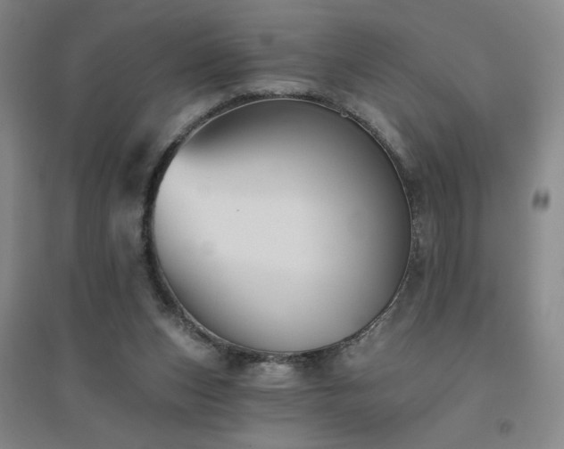 X0000094790159200711161442